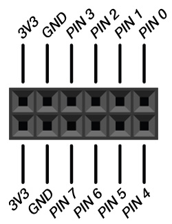 Illustration of a PMOD connector